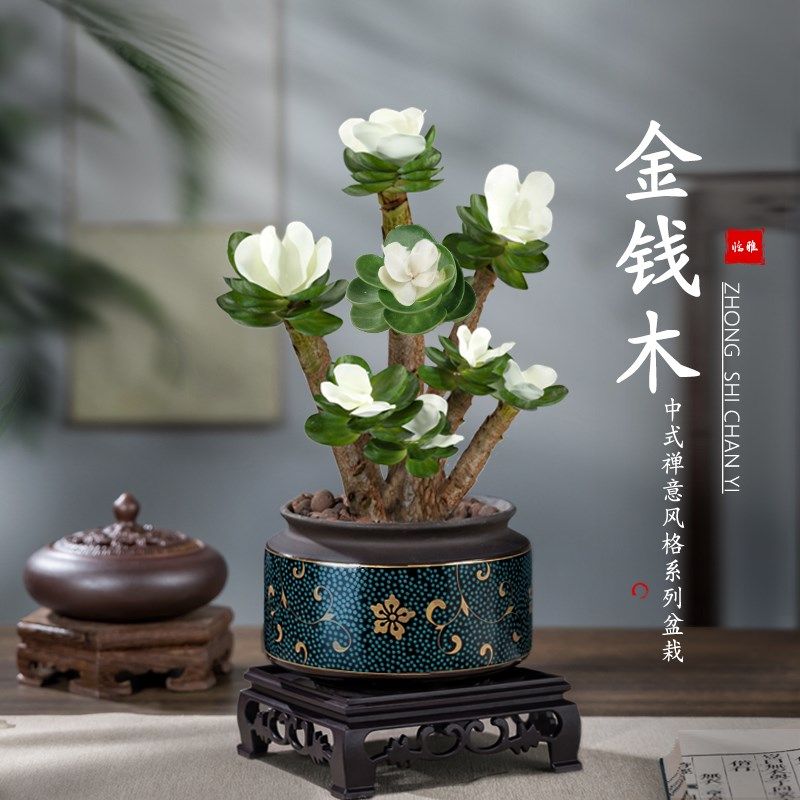 金钱木盆栽老桩多肉绿植物办公室内花卉桌面高端禅意小摆件发财木,鲜花速递/花卉仿真/绿植园艺,多肉植物,淘宝优惠券,粉丝福利购,淘宝优惠卷