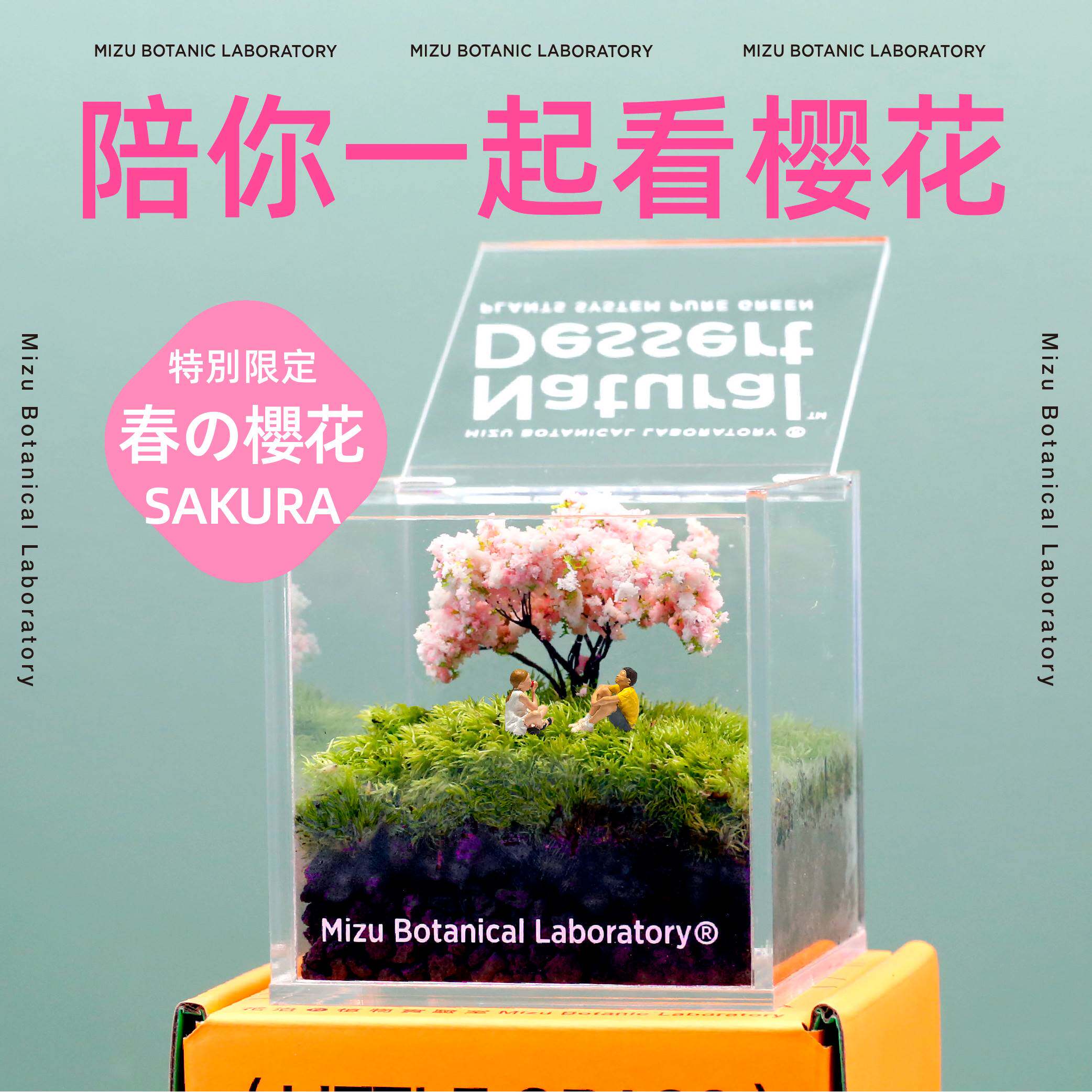 花治实验室苔藓植物礼品