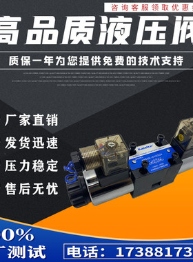 凯斯特4WE6E-L6X/EG24NZ5L电磁换向阀4WE6J-/6Y/6A/6G/6L/6C/6D