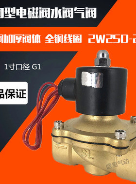 SLGPC 2W250-25常闭电磁阀UW-25 一寸水阀气阀 AC220V DC24V 盛隆