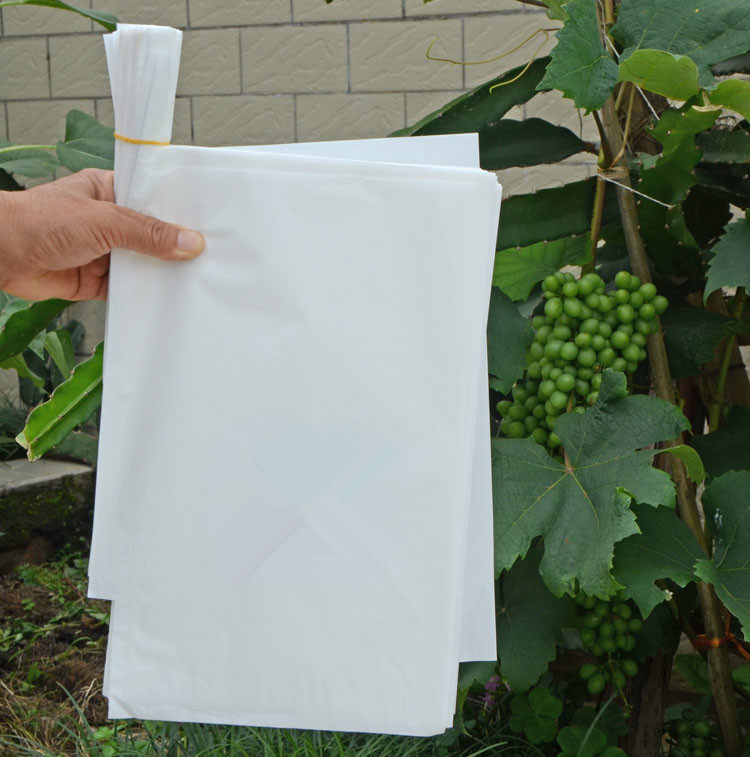白色全木浆葡萄套袋葡萄袋葡萄果袋防水防虫带防鸟带铁丝气孔