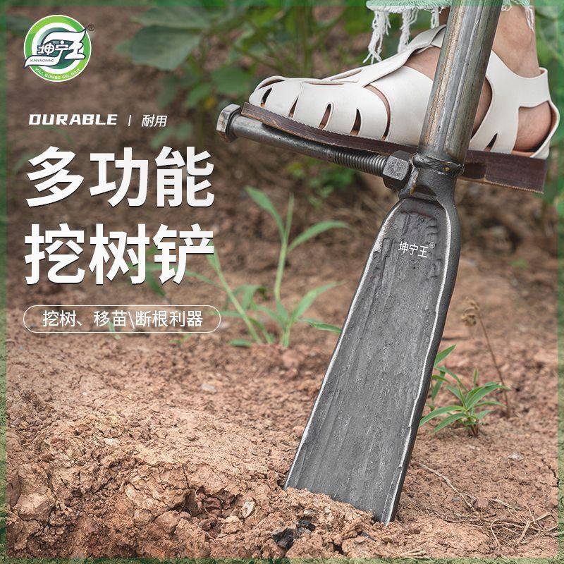 坤宁王挖树铲洛阳铲铁锹锰钢挖坑楸挖沟洞起苗树根挖土专用锹挖笋,工业油品/胶粘/化学/实验室用品,烧杯/烧瓶,淘宝优惠券,粉丝福利购,淘宝优惠卷