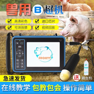 兽用B超机羊牛用b超母猪测孕仪器猪比超机超声波怀孕彩超检孕背膘