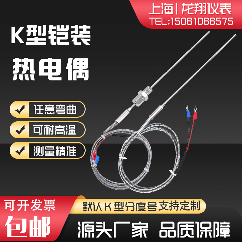 K型铠装热电偶电热偶WRNK-191可弯曲Pt100/E/J/T型温度传感器探头