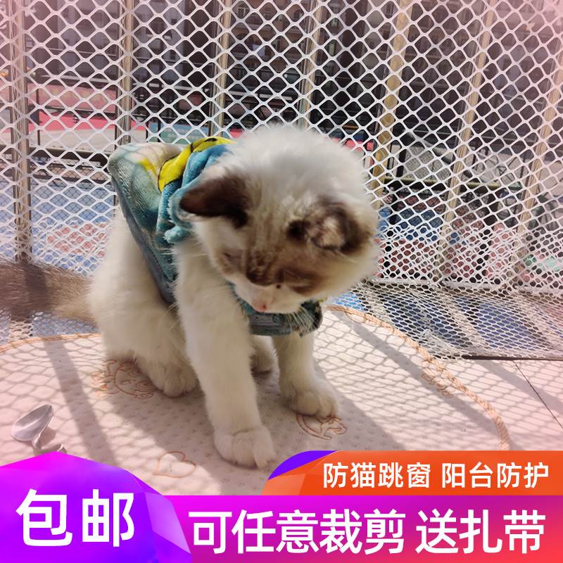 阳台防护网防盗窗垫板塑料网封窗网格窗户神器护栏网猫网围栏防掉