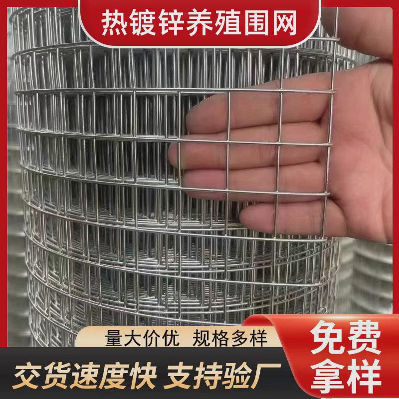 铁丝网围栏养殖热镀锌电