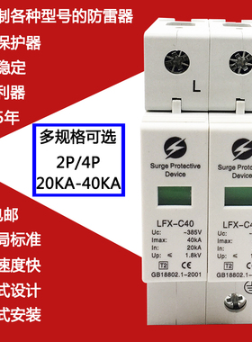 浪涌保护器2P 40KA单相电源防雷器家用雷电避雷器 电涌保护器220v