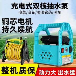 抽水泵浇菜神器浇水浇地农用家用灌溉 德国进口锂电小型菜地充电式