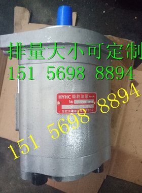 齿轮油泵CBNQ-F5**-AFΦ13L矿山油泵CBNQ-F550-AF*L合肥为液液压