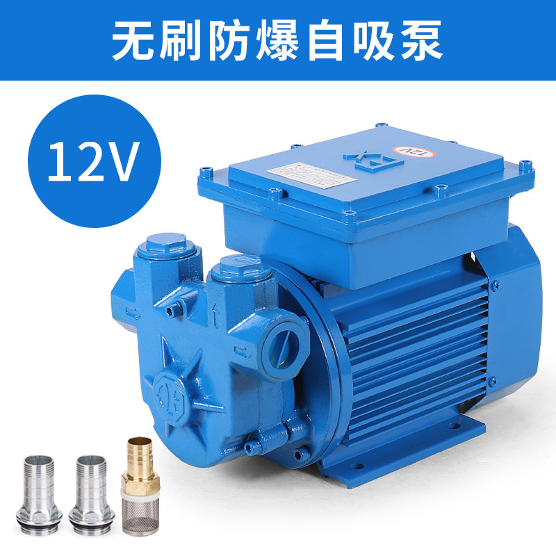 新款汽油防爆电动抽油泵12v24v220v车载加油机导油泵大流量自包邮