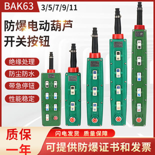 31起重机电动葫芦工业天车防爆控制手柄按钮带施压单双速手柄 BKA