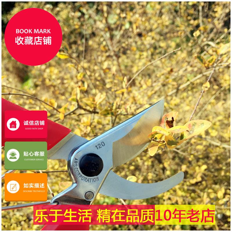 日本进口正品爱丽斯修枝