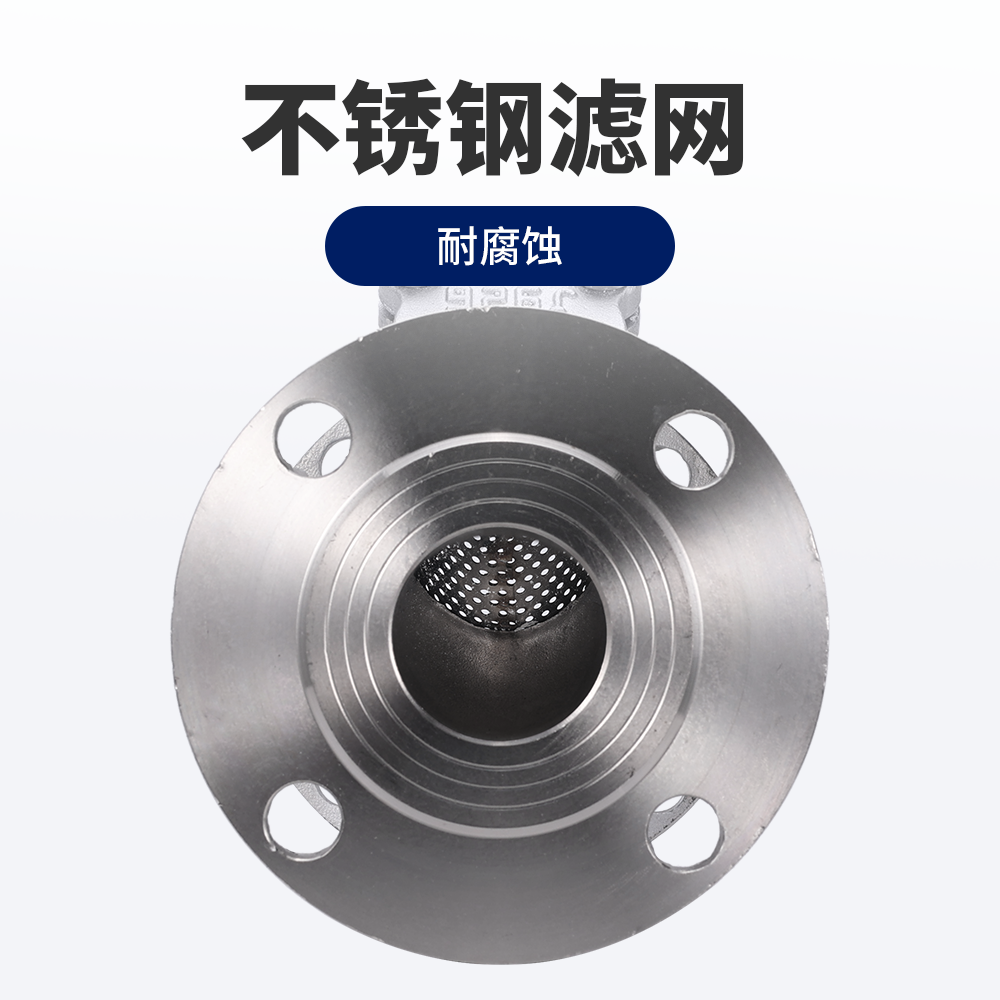 不锈钢法兰过滤器工业型