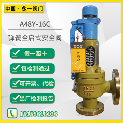 永一安全阀铸钢不锈法兰