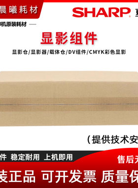 原装 夏普 BP C 2021 2021 2521 2522 X R 显影器 组件 载体仓