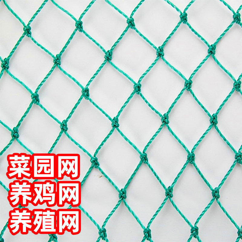 尼龙网养鸡围殖山防拦鸭