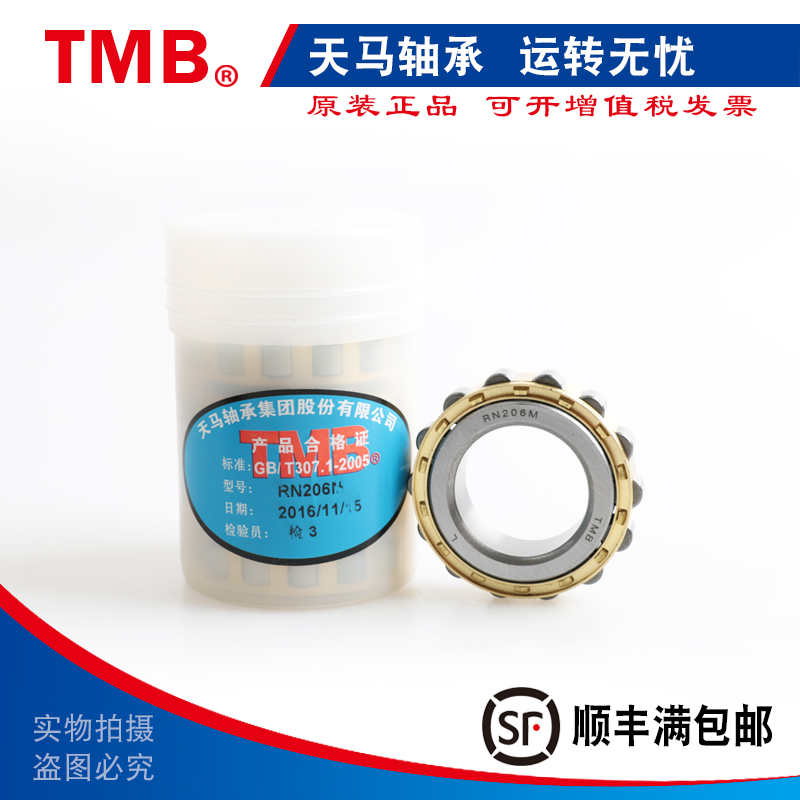 TMB天马减速机偏心轴承RN205 206 207 219 222  307 308 309 312M