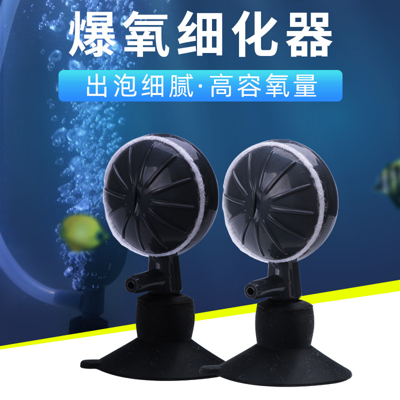 鱼缸水族箱金气泡石大小