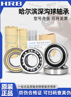 HRB 哈尔滨轴承 6900 6901 6902 6903 6904 - ZZ 2Z 2RZ 高速正品