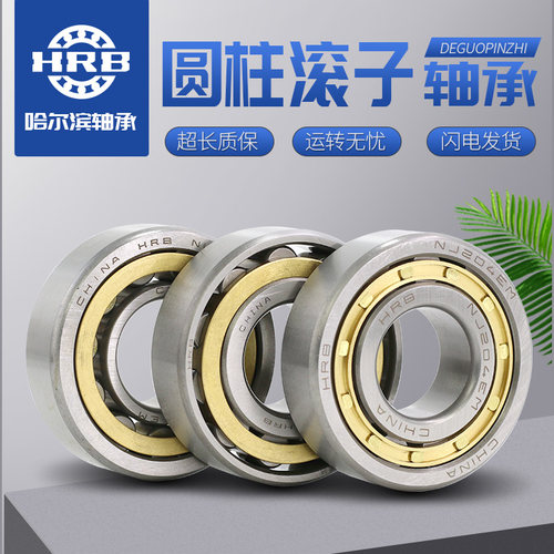 哈尔滨圆柱滚子轴承RN205 206 207 208 209 210 212 219 220 222E