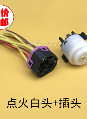 新老宝来奥迪帕萨特领奴