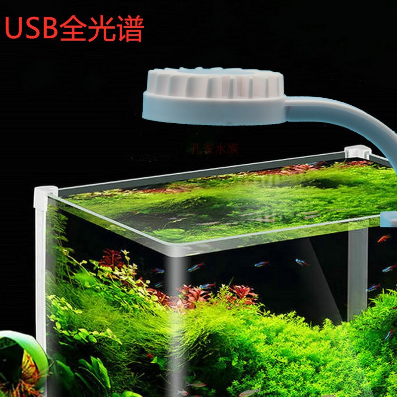 小型鱼缸灯水草海迷你斗