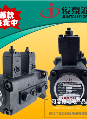 JUNTAI俊泰液压VP-SF/DF-20/20-D 40/40 30/30-C A B双联叶片油泵