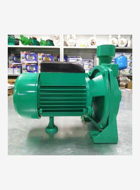 新款离心水泵CPM-146水泵冷水机泵设备泵220v单相0.55kw包邮