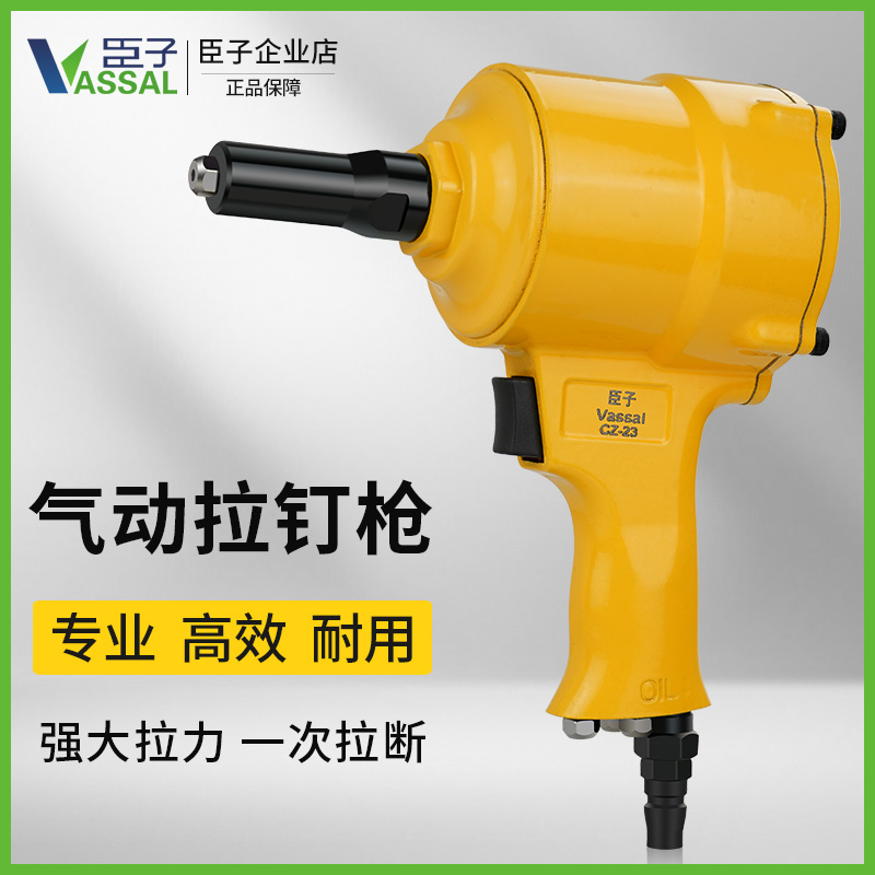 臣子气动铆钉枪两爪枪式拉钉枪工业级抽芯铆钉钳铆钉机工具拉铆枪