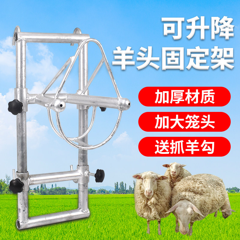 羊头固定架升降剪羊毛架子羊用固定器打针保定架挤羊奶推毛羊笼头