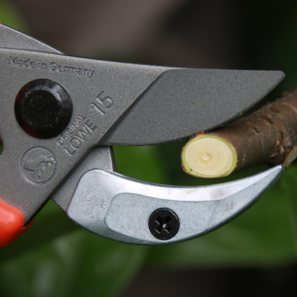 德国狮牌剪刀进口果树修