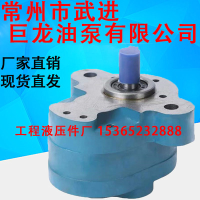 常州市武进巨龙油泵液压