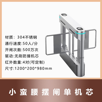 摆闸刷卡人脸识别检票门