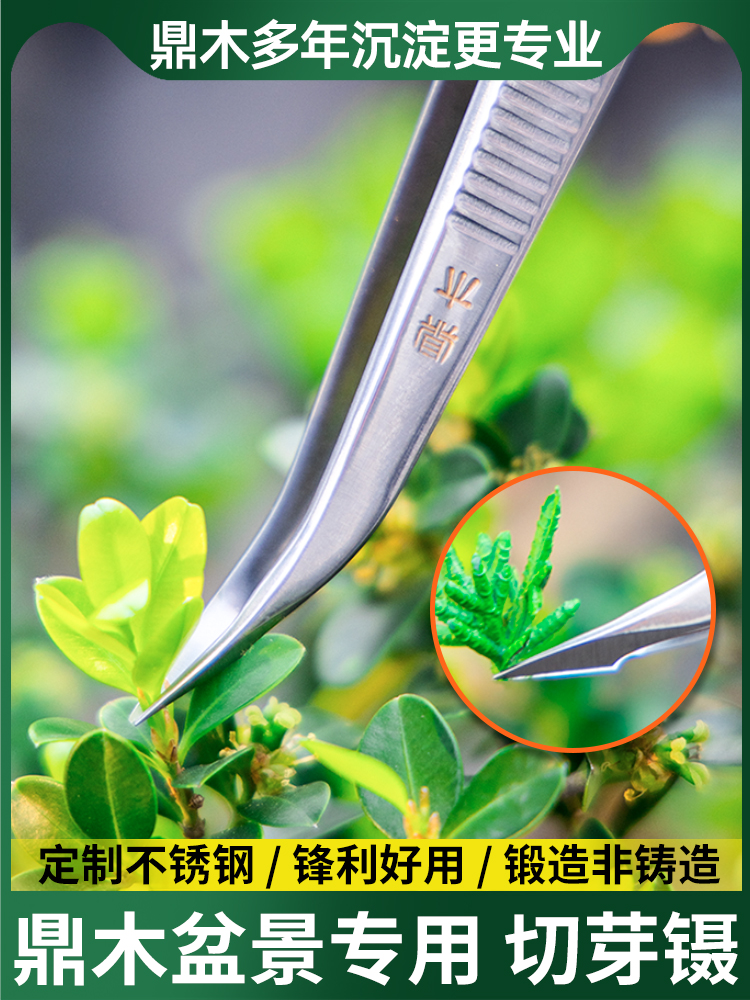 鼎木盆景修剪专用制作工