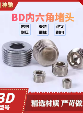SNS神驰气动 塞头 堵头 BD-01/02/03/04/06/10 丝堵