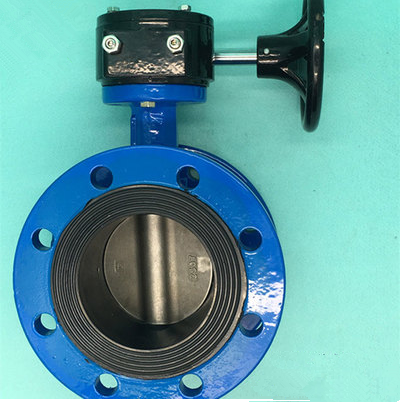 D341X-10 手动蜗轮法兰蝶阀DN50 65 80 100 125 150 200 250 300