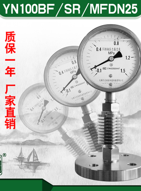 厂家直销FTYLB无锡飞天YN100BF/SR/MFDN25不锈钢法兰式隔膜压力表