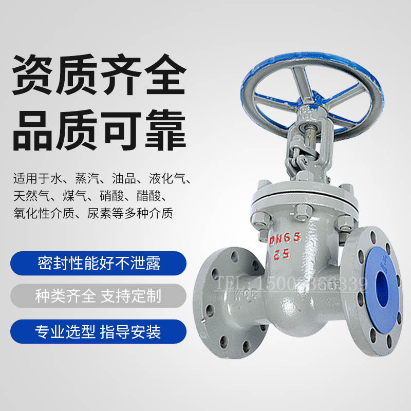 上海沪工良精铸钢法兰闸