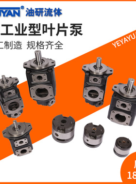 T6C叶片泵T6D T6E T6CC T6DC T6EC T6ED-003 005 06 008 010 012