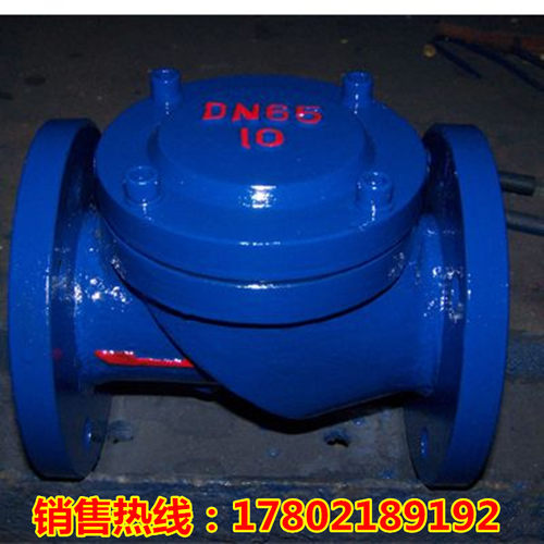 HC44X-16Q球墨铸铁橡胶瓣止回阀橡胶板防水锤单向逆止阀DN50-600