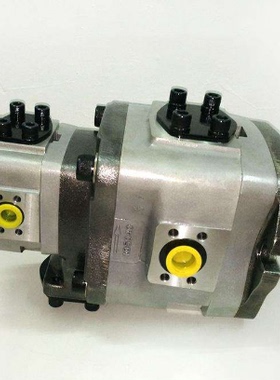 ALP1-D-4/6-TO-E-FG意大利MARZOCCHI马祖奇齿轮泵