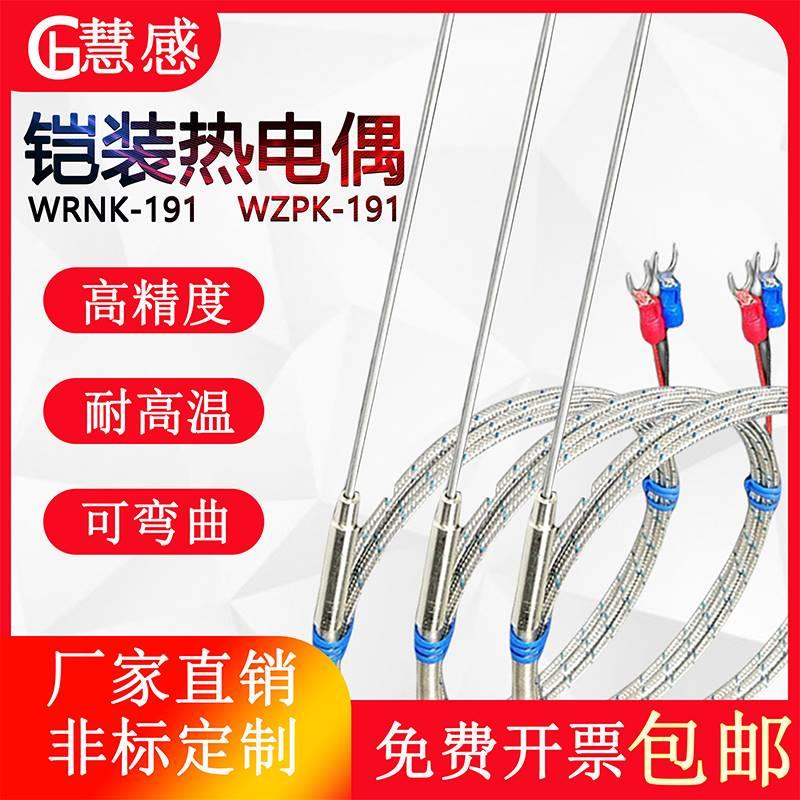WRNK-191铠装热电偶K型PT100/E/J针型电热偶温度传感器可弯曲探头