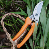 张小泉园艺剪刀修枝树枝花枝果树锋利省力强力小号剪枝剪刀ZH 323