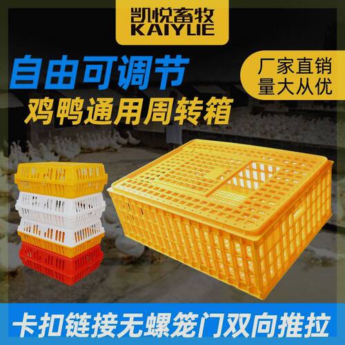 鸡笼周转箱家用养殖防摔