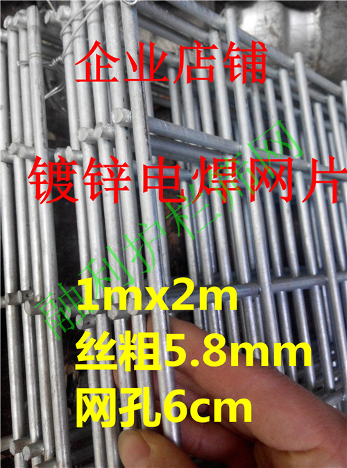 镀锌电焊网片加粗铁丝隔