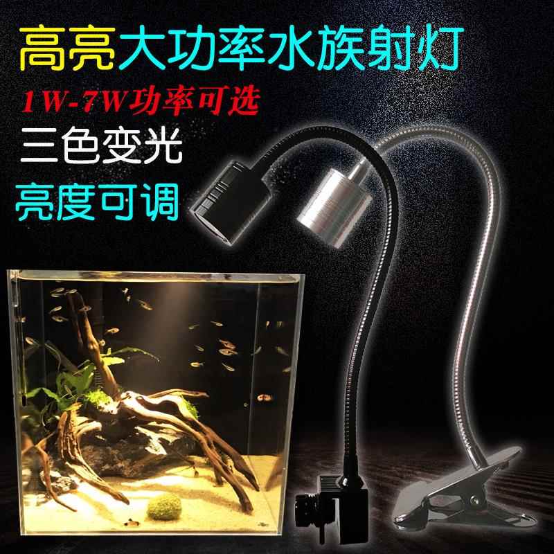 南美鱼缸射灯夹观赏造景图片