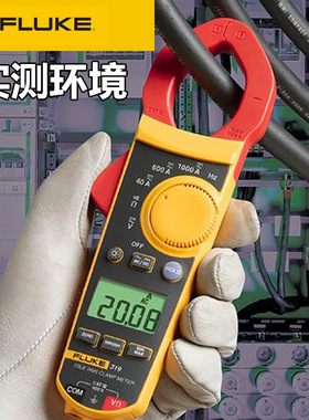 福禄克FLUKE 302+钳形万用表F319 F365真有效值交直流钳表/电流表