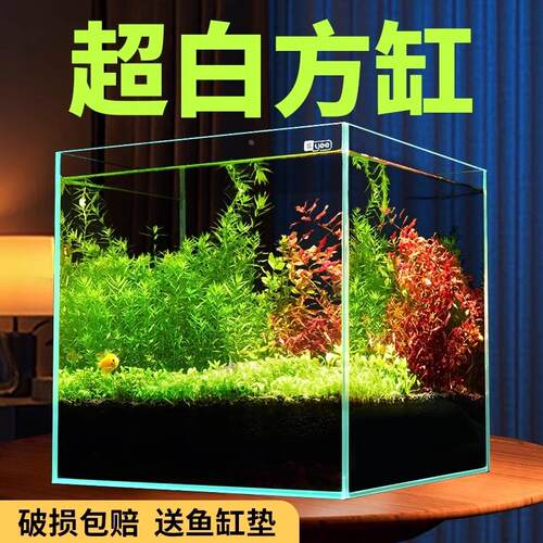 方缸超白鱼客厅小型新款