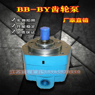 BB-B4 B6 B10 B16 B20 B25 B32 B40 B50 B63 凯利摆线齿轮油泵N Y