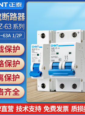 直流空气开关NB1Z-63空开1p断路器2p 12v 24v电动车专用60伏